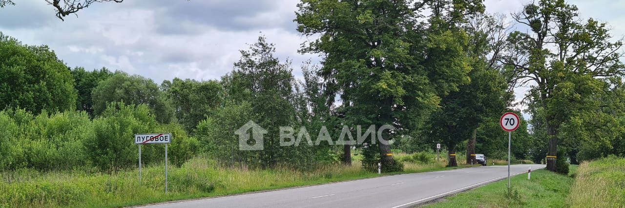 земля р-н Гурьевский п Луговое ул Центральная фото 3