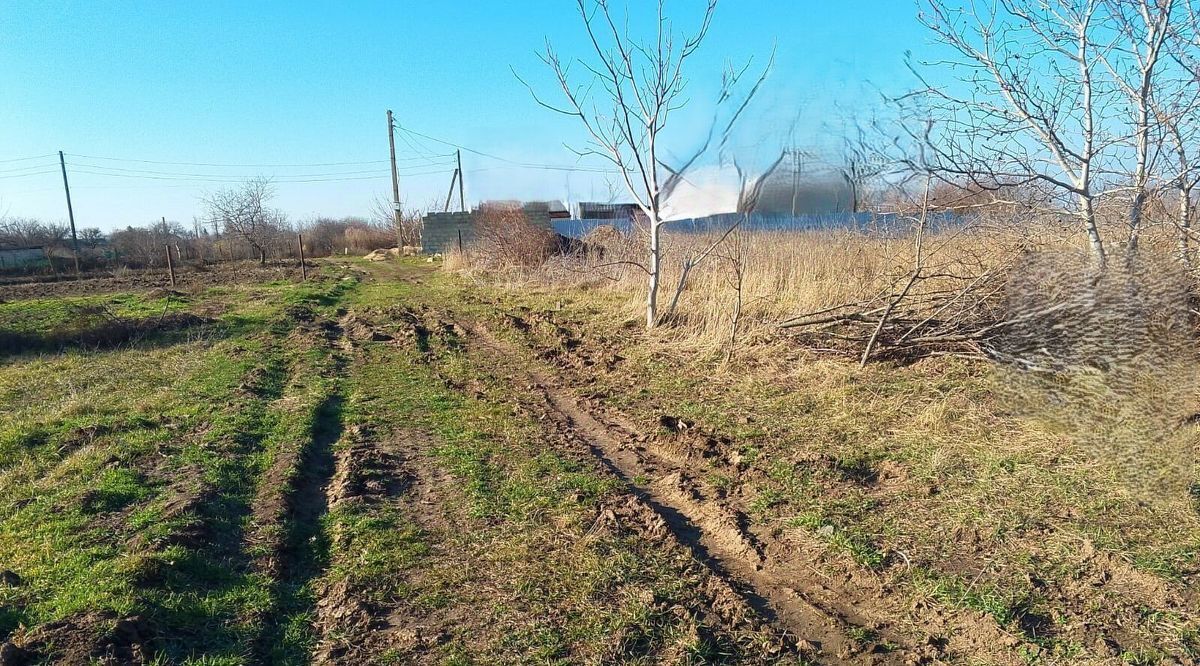 земля р-н Темрюкский ст-ца Курчанская Курчанское с/пос фото 3