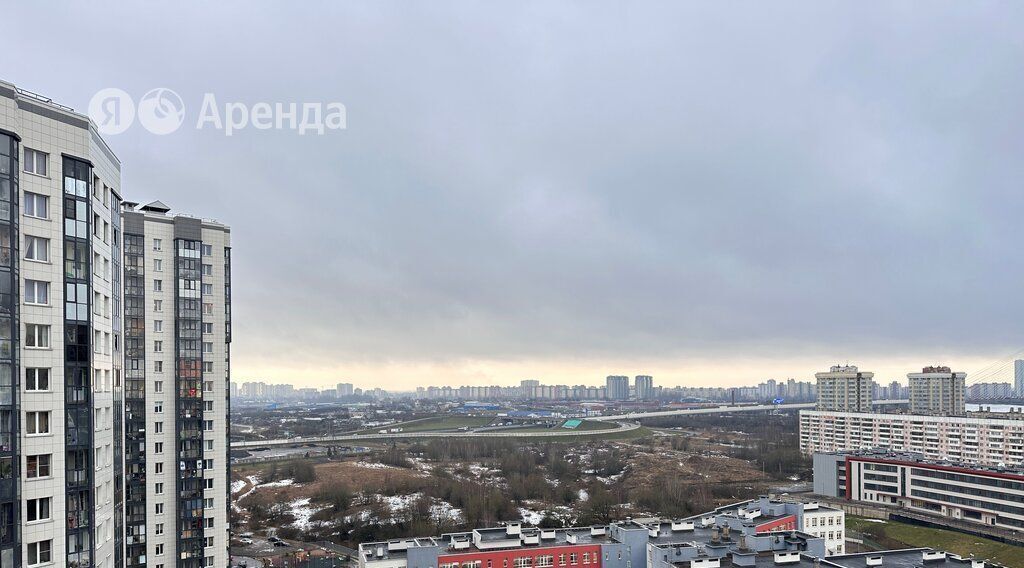 квартира г Санкт-Петербург метро Ломоносовская ул Русановская 15к/1 округ Народный фото 22