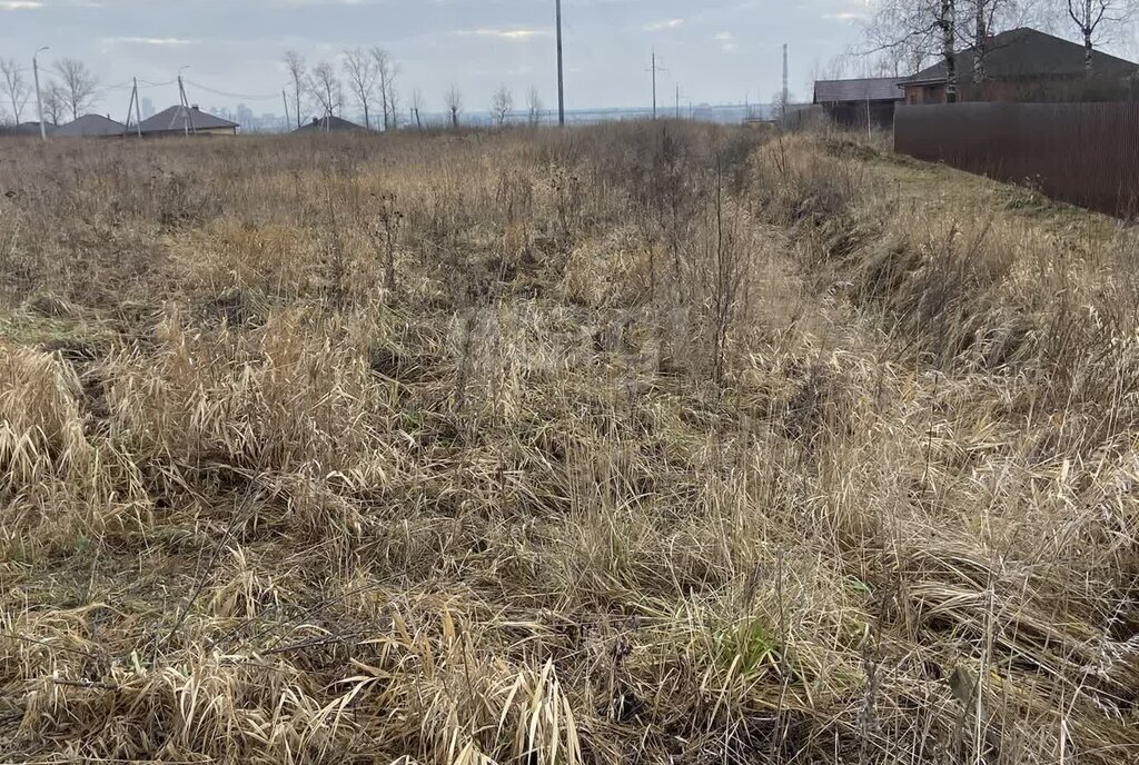 земля городской округ Коломенский д Борисовское ул Родниковая городской округ Коломна фото 4