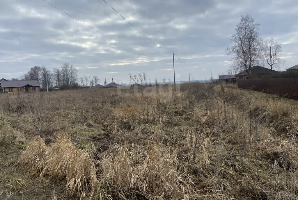 земля городской округ Коломенский д Борисовское ул Родниковая городской округ Коломна фото 2