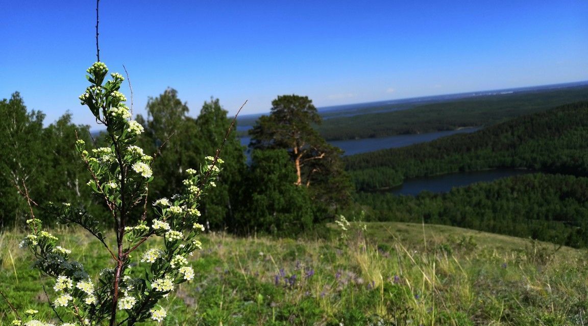 дом р-н Каслинский рп Вишневогорск фото 4