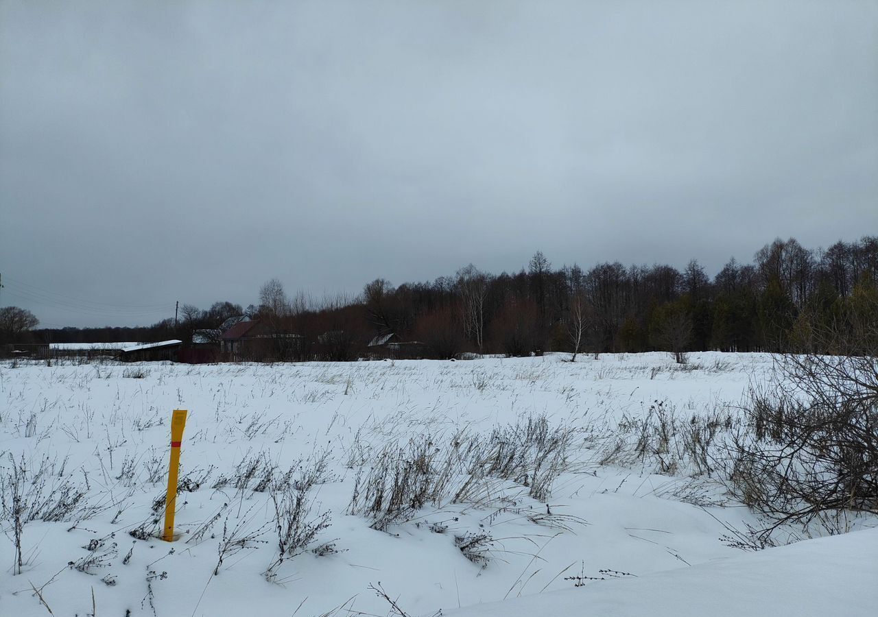 земля р-н Городищенский с Новые Забалки Чемодановка фото 1