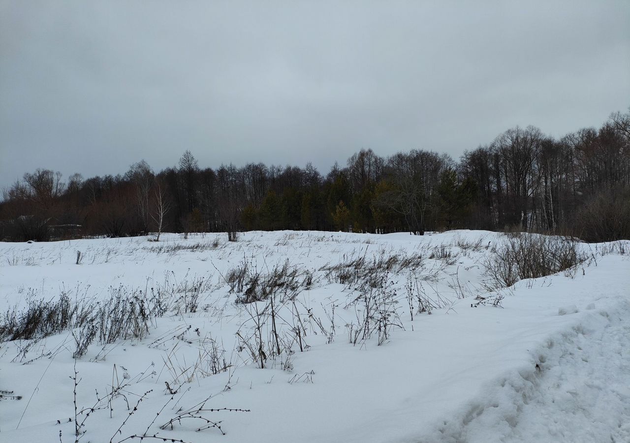 земля р-н Городищенский с Новые Забалки Чемодановка фото 4