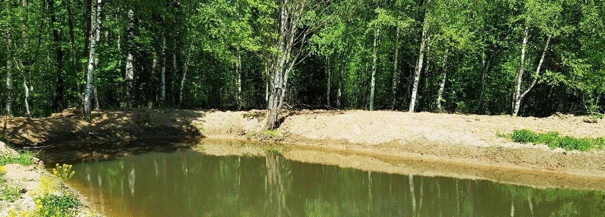 земля городской округ Дмитровский д Ассаурово фото 6