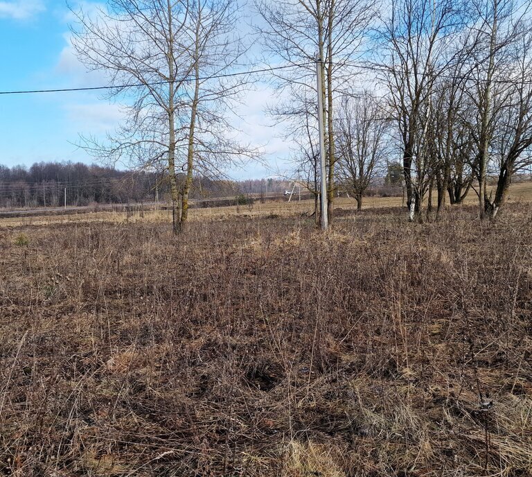 земля р-н Боровский г Боровск мкр Рябушки ул Лесная городское поселение Боровск фото 13