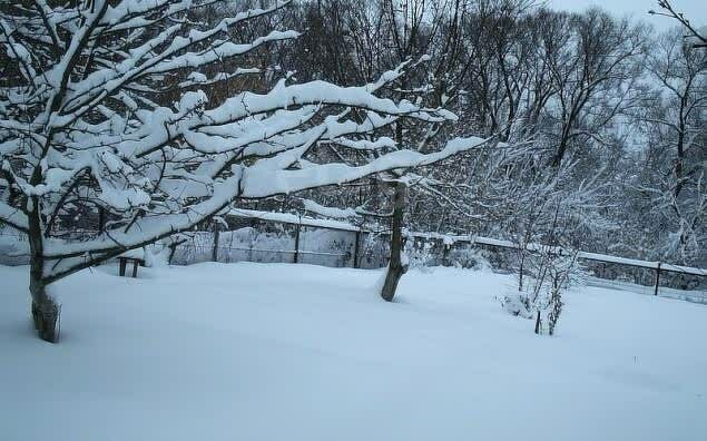 ул Ленинградская фото