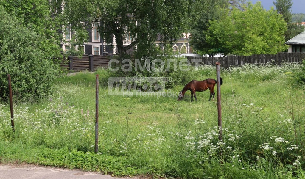 земля городской округ Истра д Ивановское Нахабино фото 6