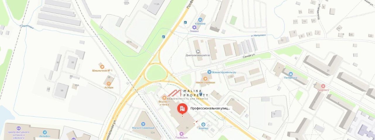 торговое помещение г Дмитров ул Профессиональная 34 Савёловская фото 5