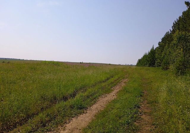 пер Пионерский Хомутовское муниципальное образование, Хомутово фото