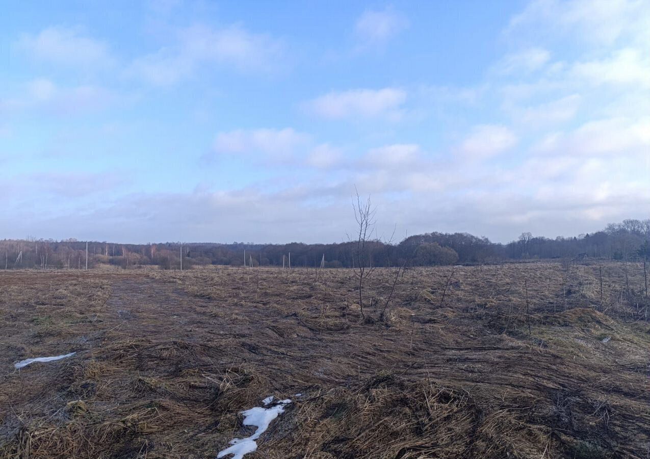 земля городской округ Можайский д Перещапово 95 км, Можайск, Минское шоссе фото 8