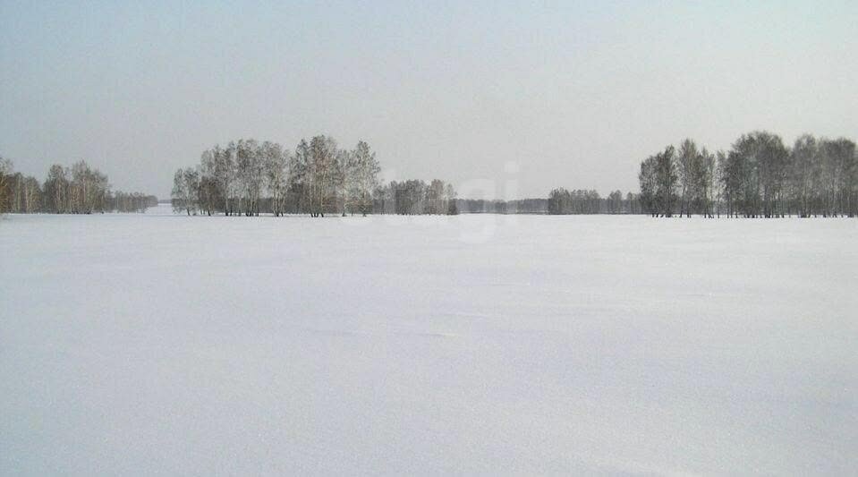 земля р-н Зеленодольский с Большие Кургузи ул Молодежная фото 1