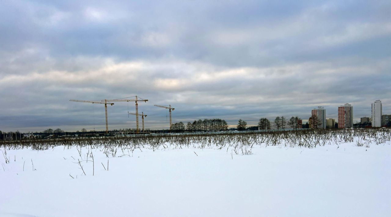 земля городской округ Пушкинский с Братовщина 18 фото 2