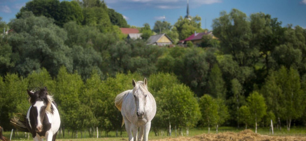 земля г Ступино Живописный Берег кп фото 44