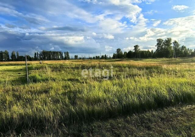 Республика Татарстан Татарстан, Поспеловское сельское поселение фото