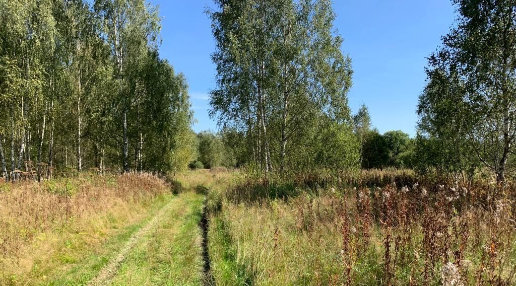 земля городской округ Рузский д Вараксино фото 6