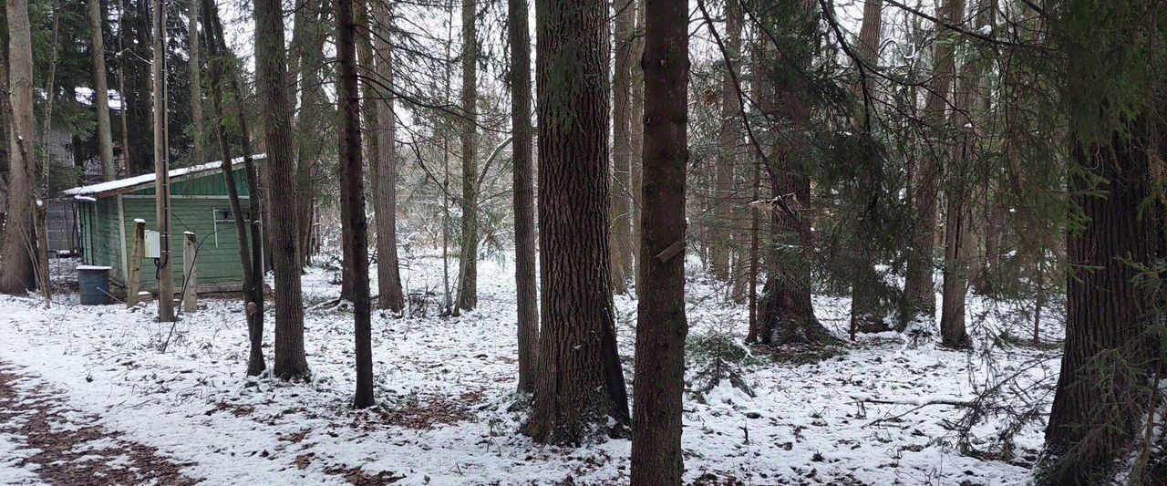 дом городской округ Сергиево-Посадский с Абрамцево ул Ушакова 25 фото 4