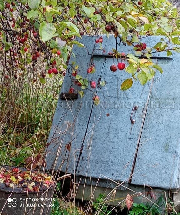 дом городской посёлок Ефимовский, Красноармейская улица, 14 фото 8