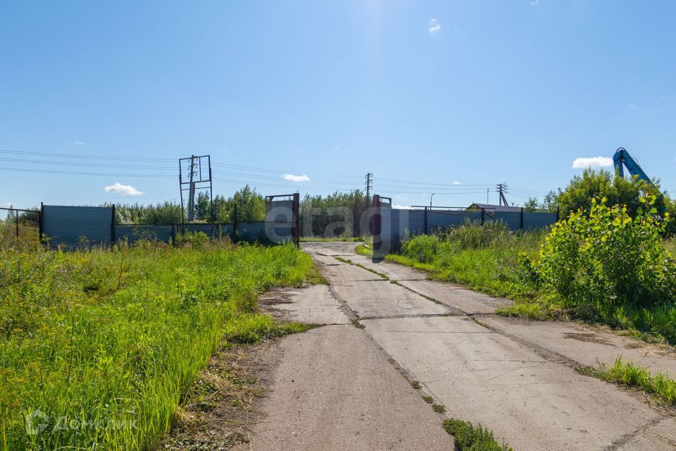 земля р-н Вагайский фото 10