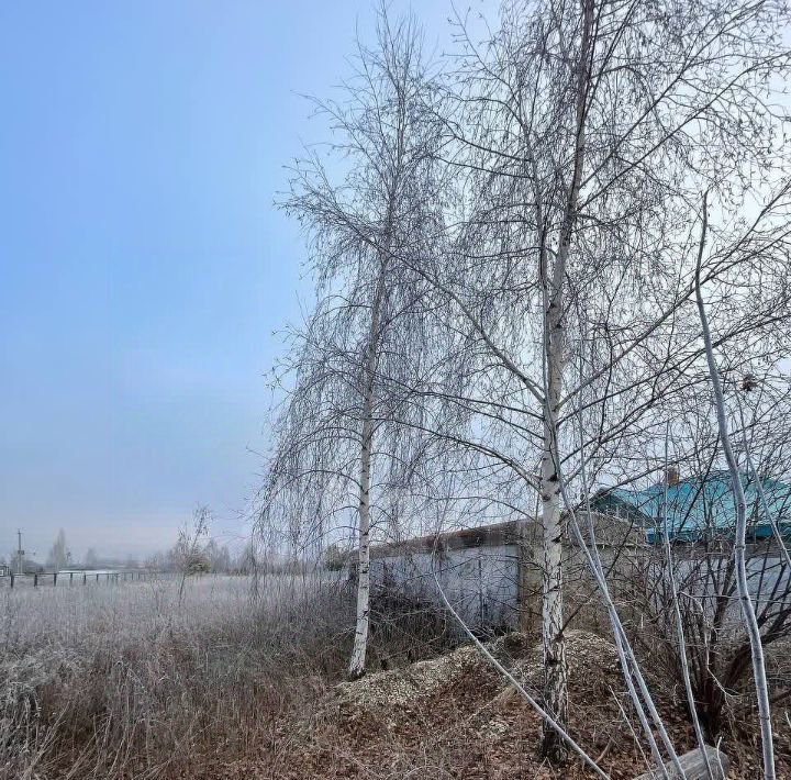 земля р-н Лаишевский п Русские Саралы Татарско-Сараловское с/пос фото 1