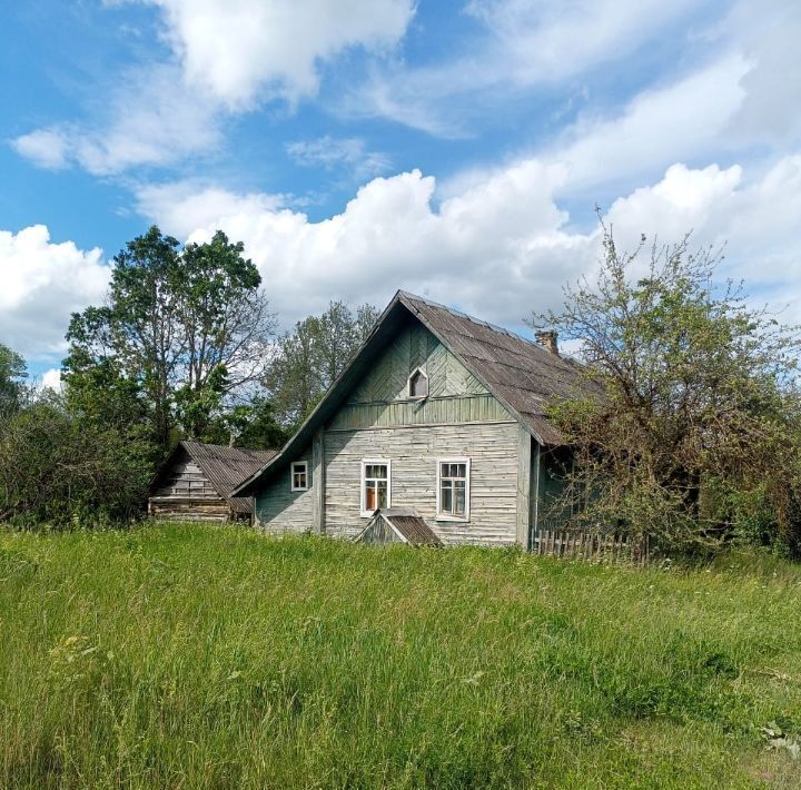 дом р-н Палкинский д Луг (Качановская волость) фото 1