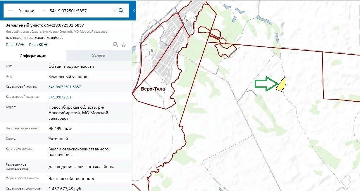 земля р-н Новосибирский с Ленинское Морской сельсовет фото 3