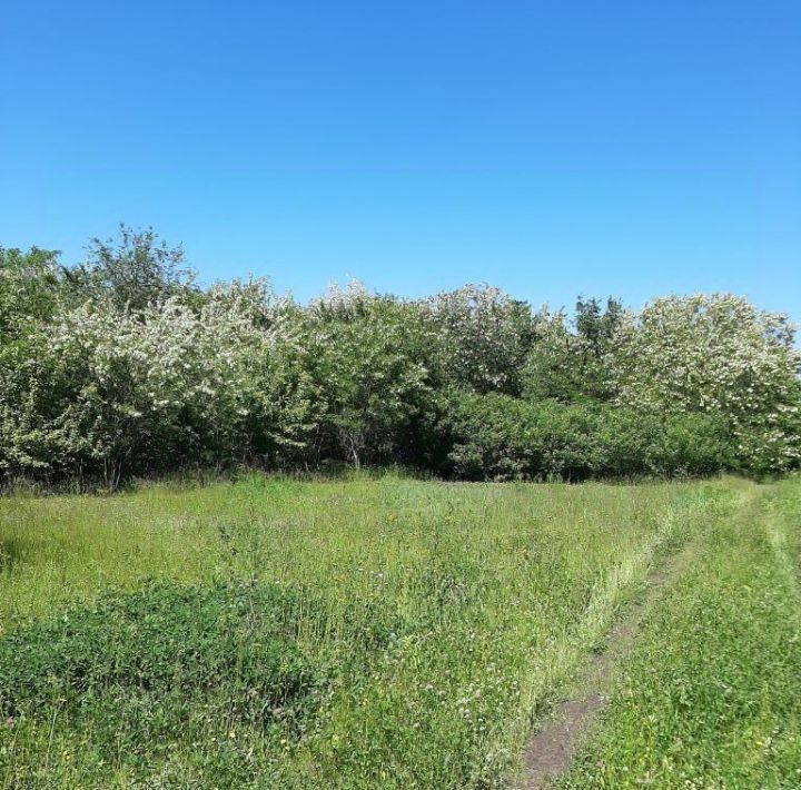 земля р-н Белгородский с Красный Октябрь Краснооктябрьское с/пос фото 3