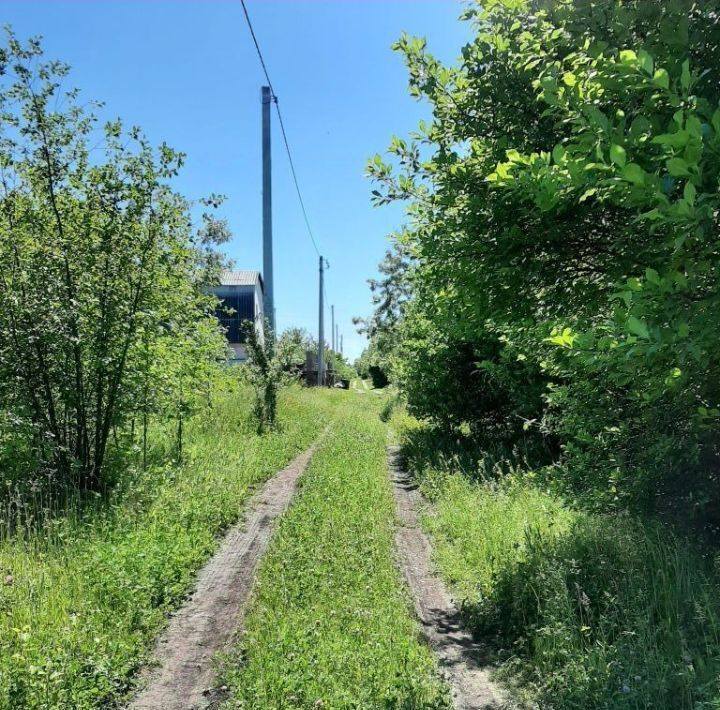 земля р-н Белгородский п Северный фото 4