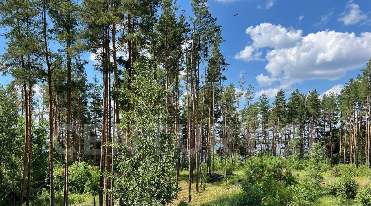 земля р-н Грязинский Ярлуковский сельсовет, Ленинский Лесхоз тер., ул. 105-й квартал фото 1