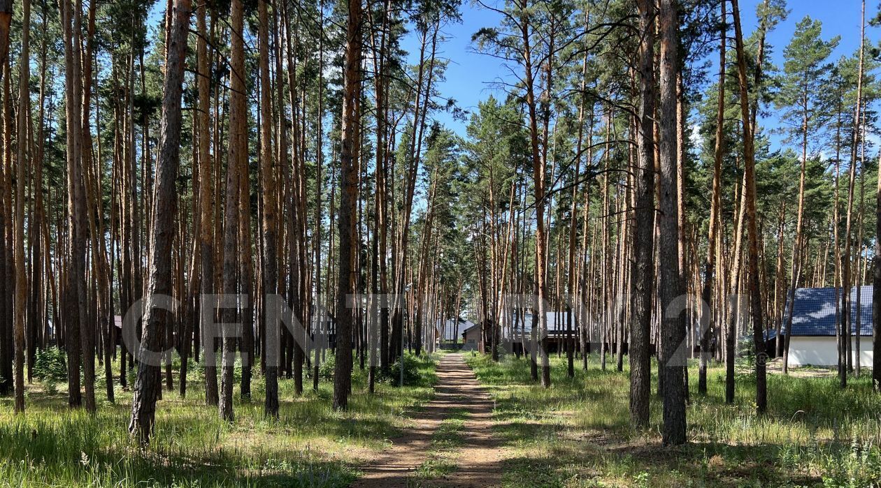 земля р-н Грязинский Ярлуковский сельсовет, Ленинский Лесхоз тер., ул. 105-й квартал фото 2