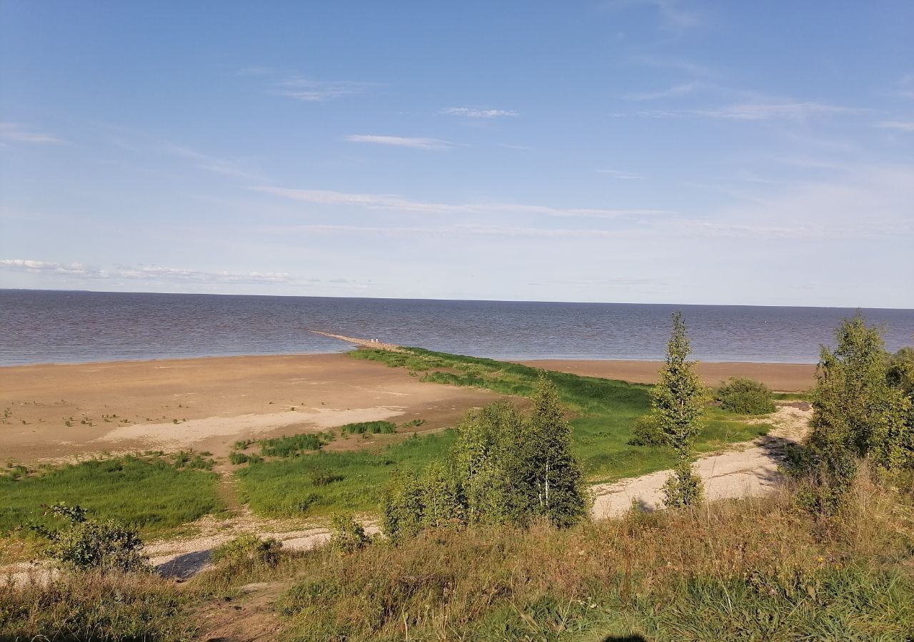 земля р-н Шимский д Мстонь Шимское городское поселение, Шимск фото 3