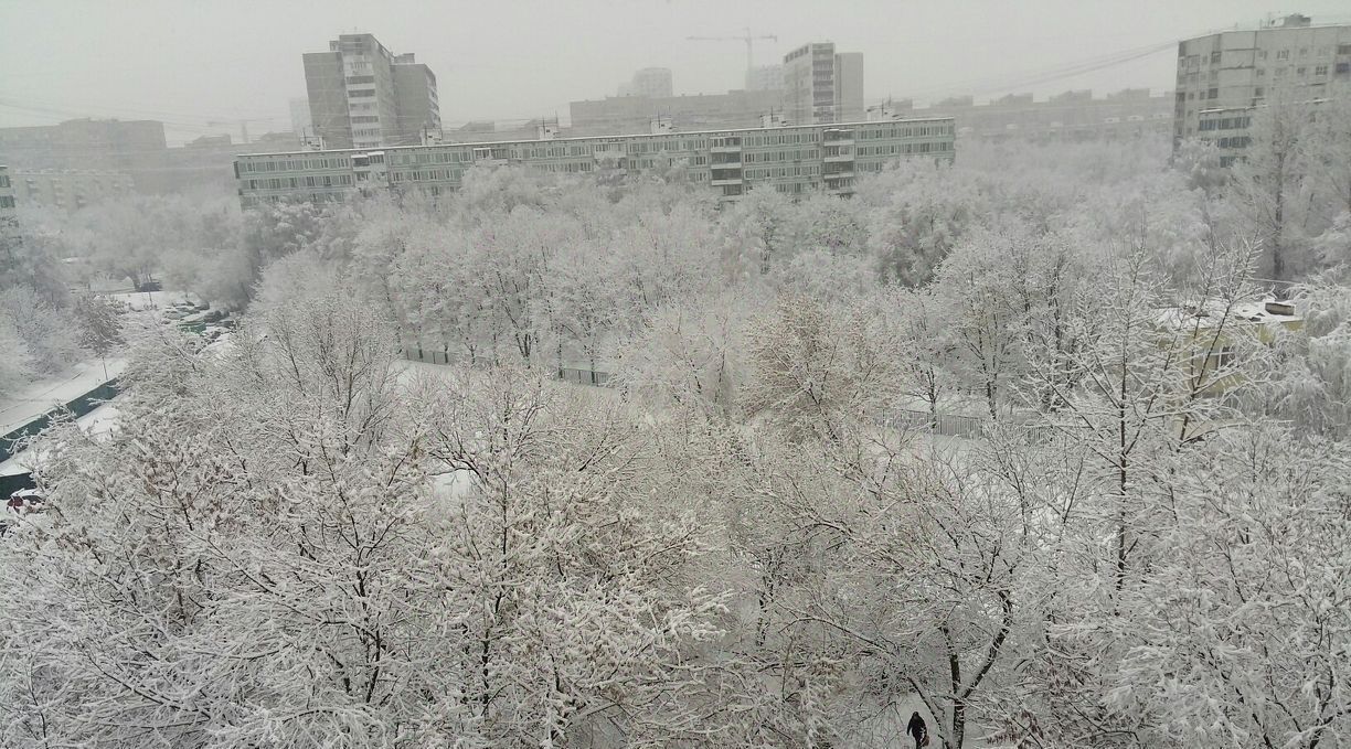 комната г Москва метро Отрадное б-р Северный 5а муниципальный округ Отрадное фото 5