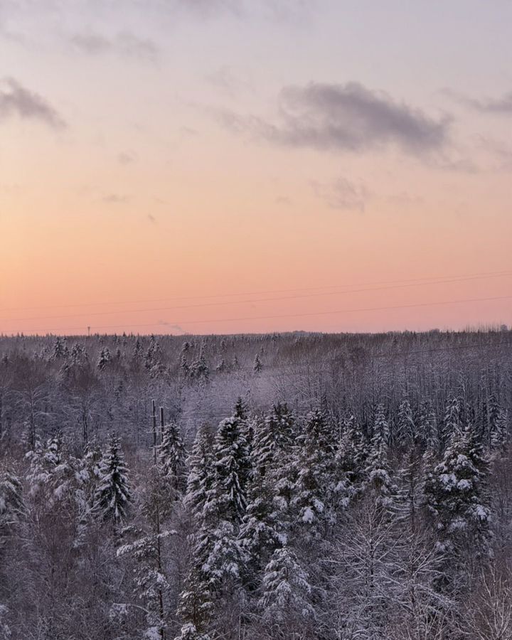 квартира г Санкт-Петербург р-н Приморский ул Ивинская 19к/1 фото 32