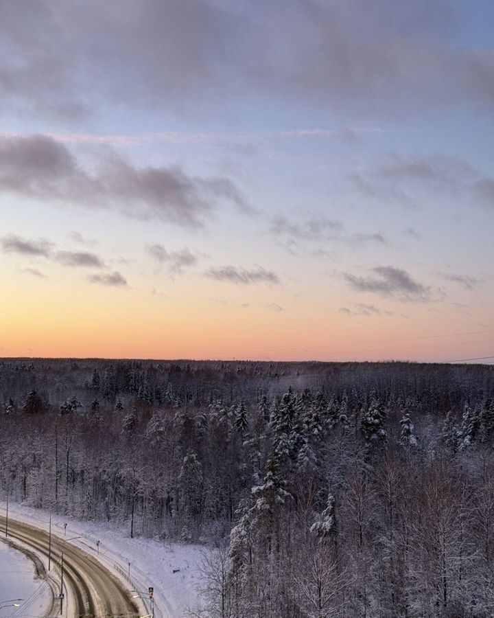 квартира г Санкт-Петербург р-н Приморский ул Ивинская 19к/1 фото 31