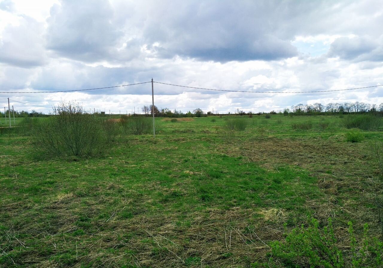 земля р-н Шимский д Мстонь Шимское городское поселение, Шимск фото 6