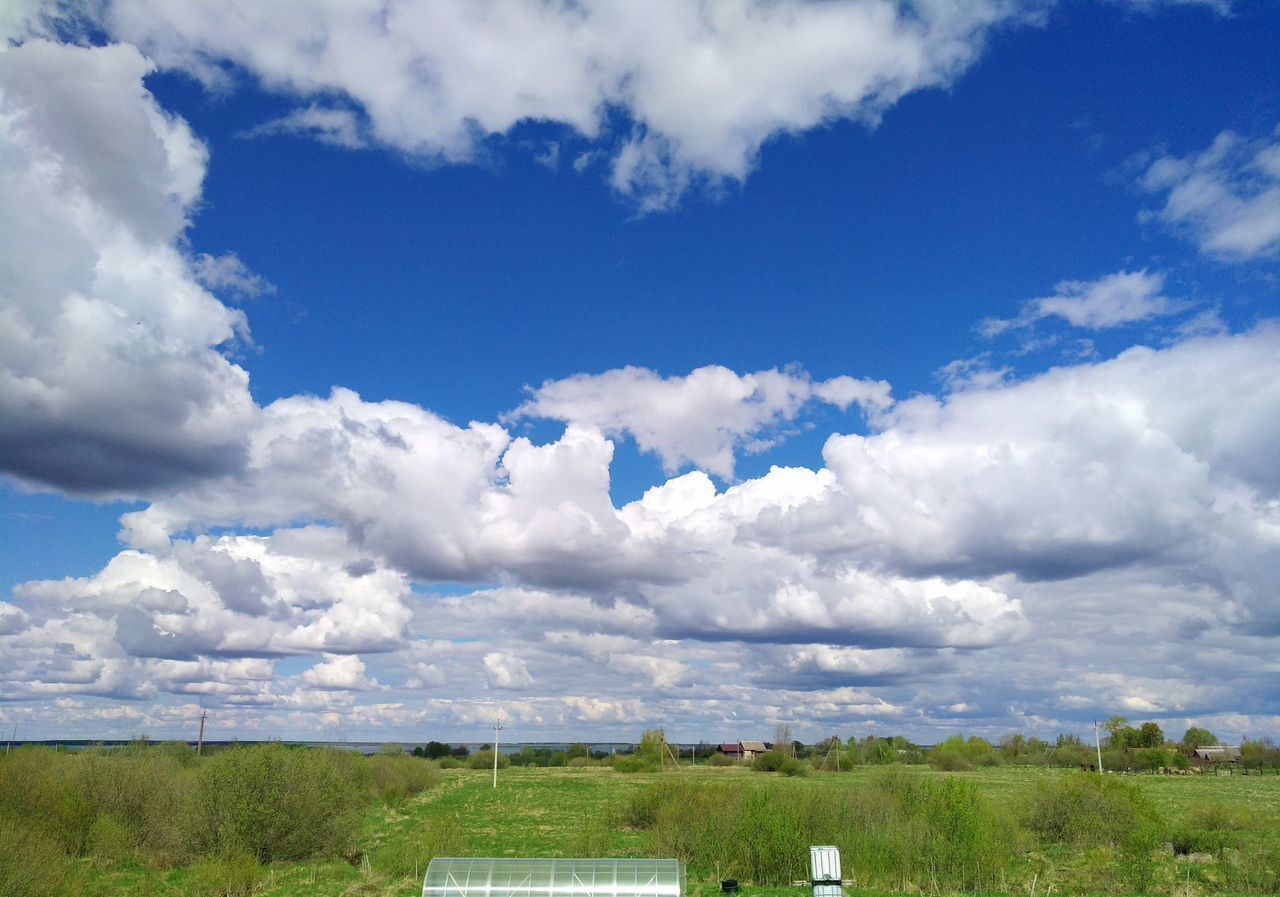 земля р-н Шимский д Мстонь Шимское городское поселение, Шимск фото 8