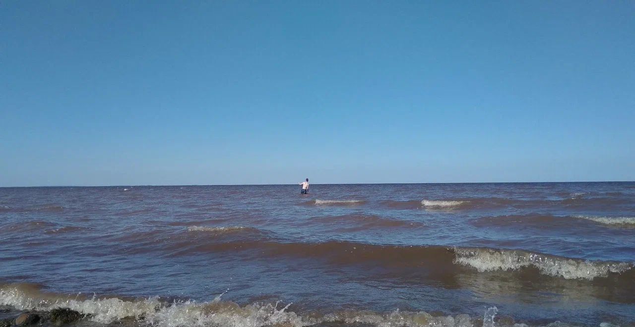 земля р-н Шимский д Мстонь Шимское городское поселение, Шимск фото 10