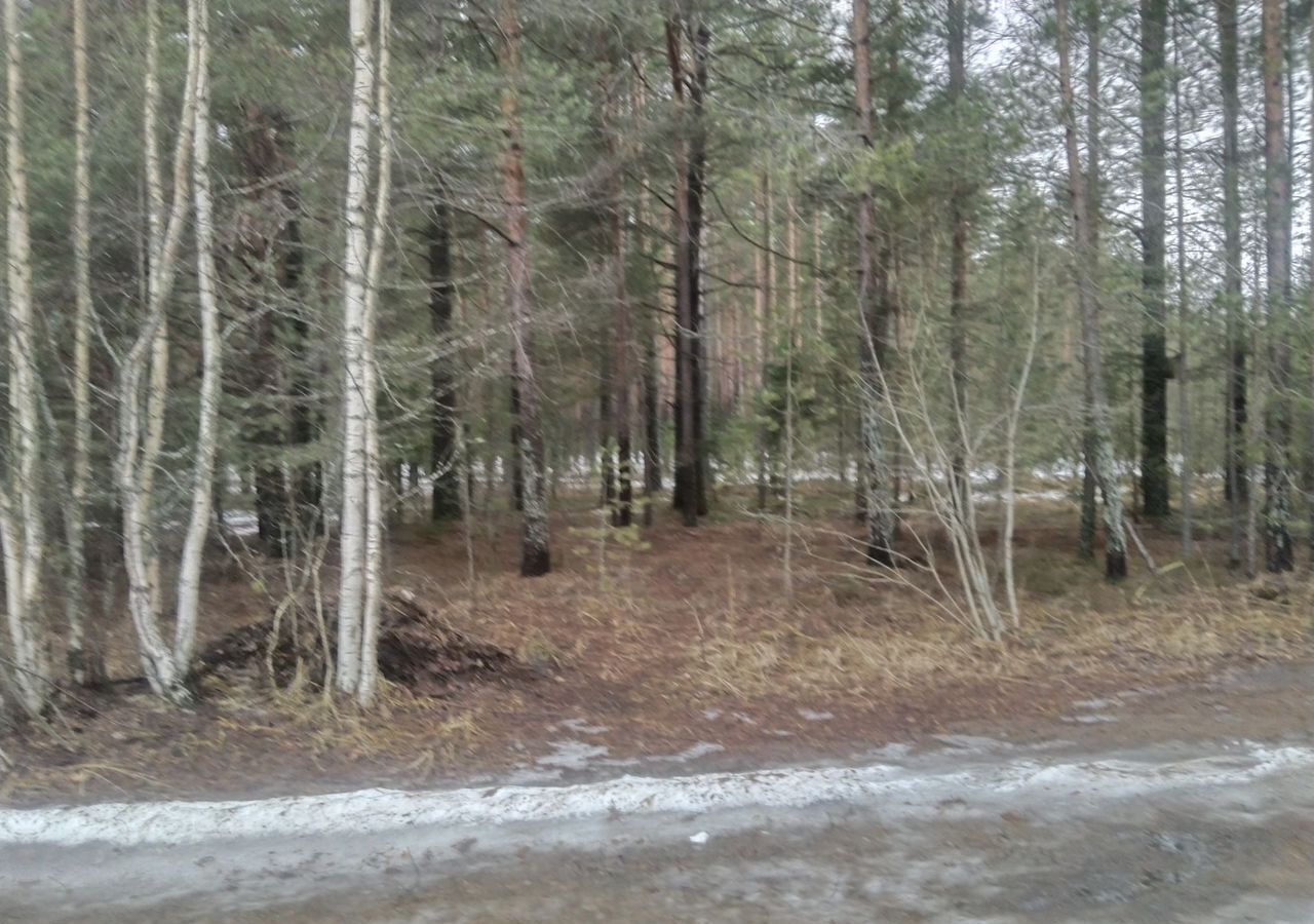 дом р-н Пестовский г Пестово пер Щербакова 2 Пестовское городское поселение фото 7