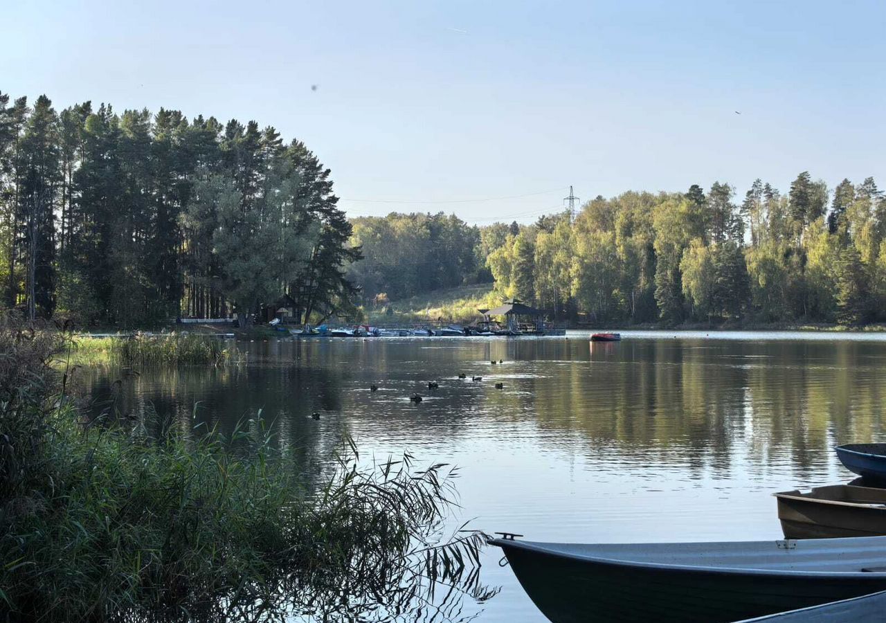 дом городской округ Истра 35 км, дп. Огниково-1, Истра, Пятницкое шоссе фото 13