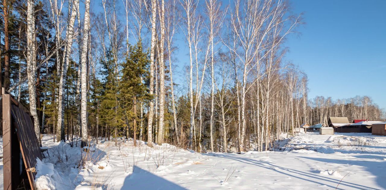 земля р-н Новосибирский снт Заря Барышевский сельсовет, садоводческое товарищество, ул. Солнечная фото 3