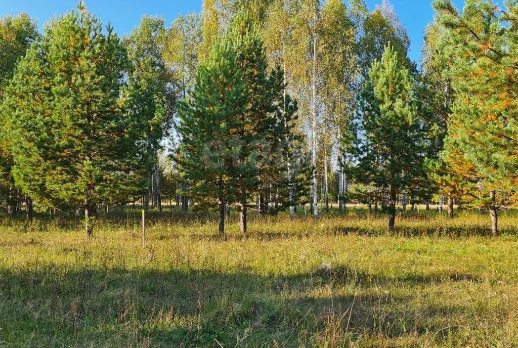 земля р-н Нижнетавдинский д Московка ул Чехова КП Чехов фото 4