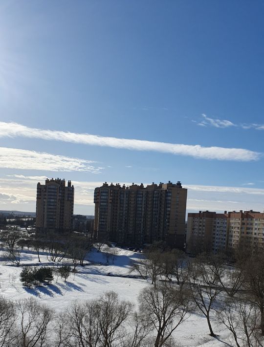 квартира г Санкт-Петербург метро Ленинский Проспект пр-кт Ветеранов 118к/2 фото 6