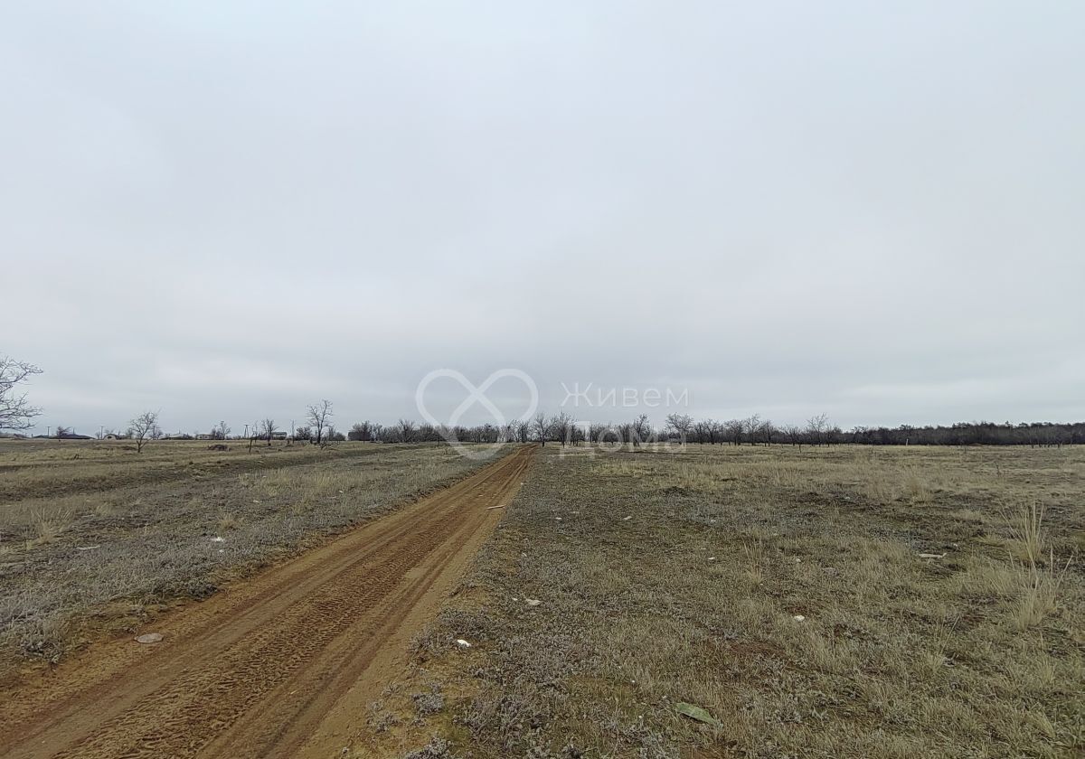 земля р-н Городищенский п Царицын тер. ДНТ Восток Царицынское сельское поселение, Волгоград фото 2