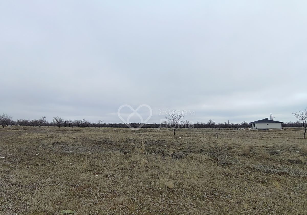 земля р-н Городищенский п Царицын тер. ДНТ Восток Царицынское сельское поселение, Волгоград фото 1