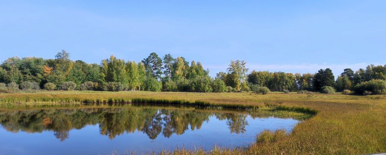 земля г Сургут ДНТ Речник, 1-я ул, Тюменская обл. фото 10