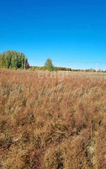 земля Благовещенский муниципальный округ, село Новопетровка фото 14