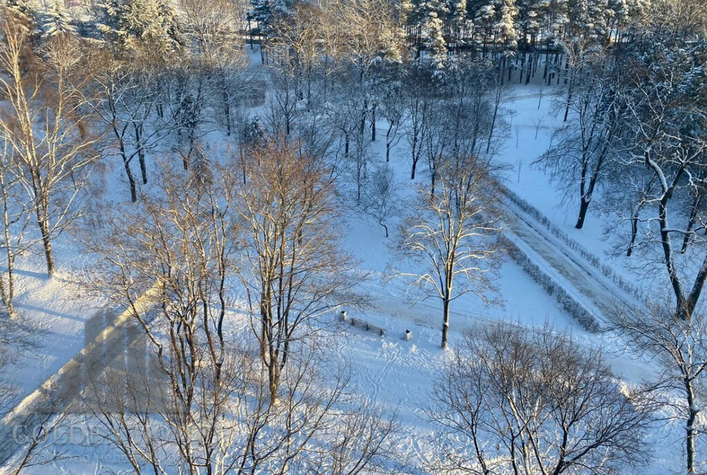 квартира г Санкт-Петербург метро Озерки пр-кт Ярославский 95 округ Светлановское фото 30