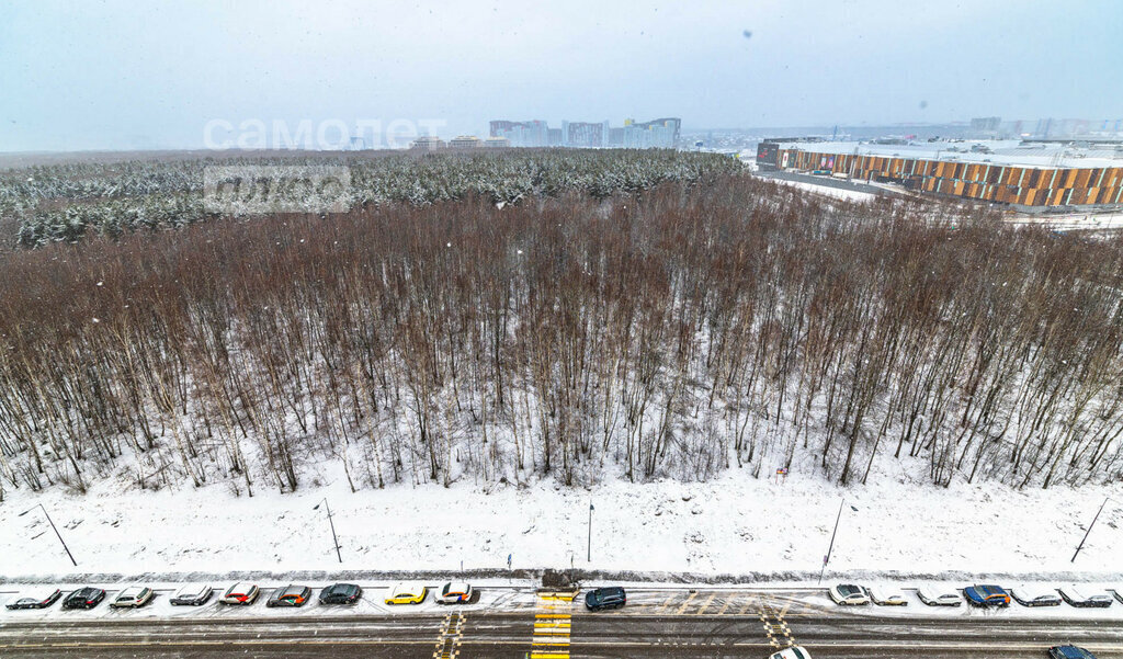 квартира г Москва метро Коммунарка метро Саларьево ТиНАО ул Саларьевская 8к/1 фото 3