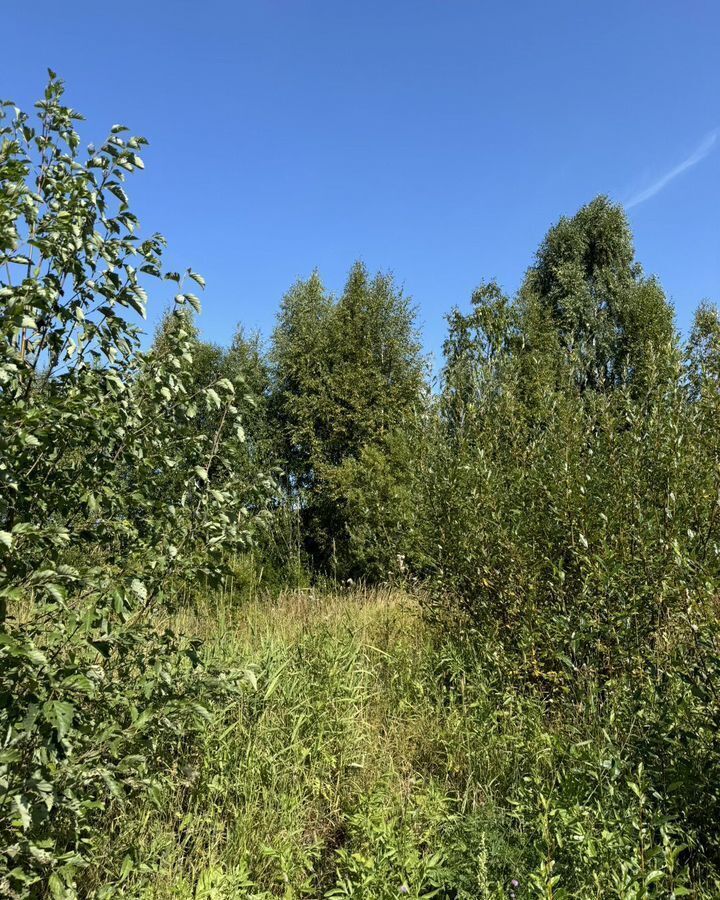 земля р-н Пряжинский пгт Пряжа Пряжинское городское поселение, урочище Шаньгимо фото 5