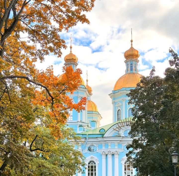 квартира г Санкт-Петербург метро Садовая ул Союза Печатников 24б фото 38